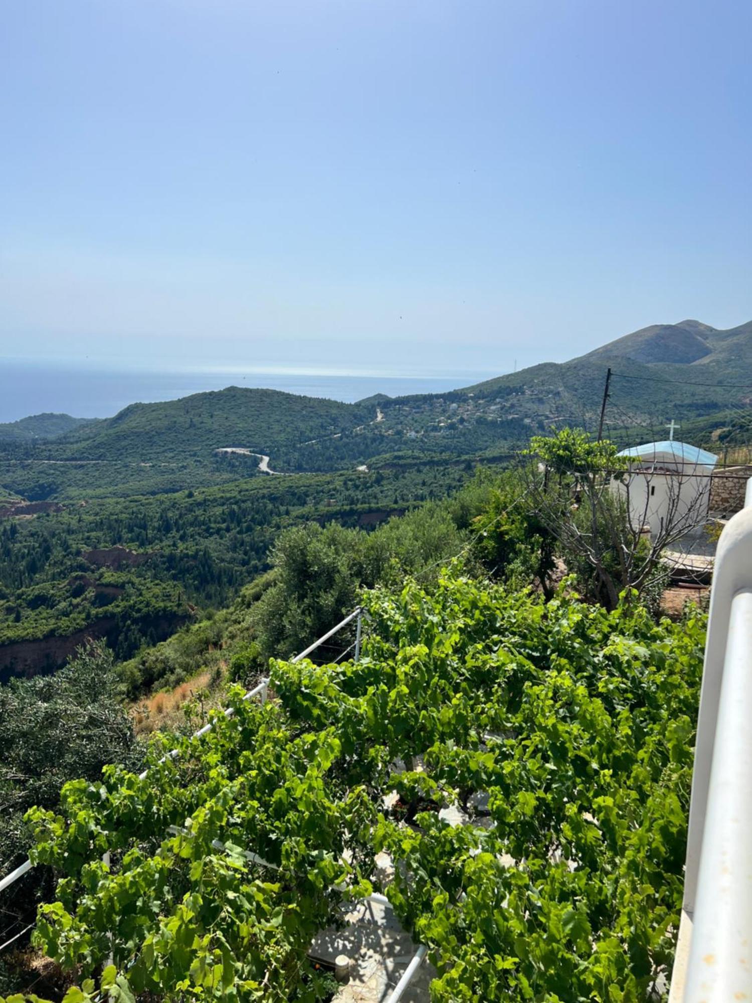 Villa Filip Vuno Eksteriør billede